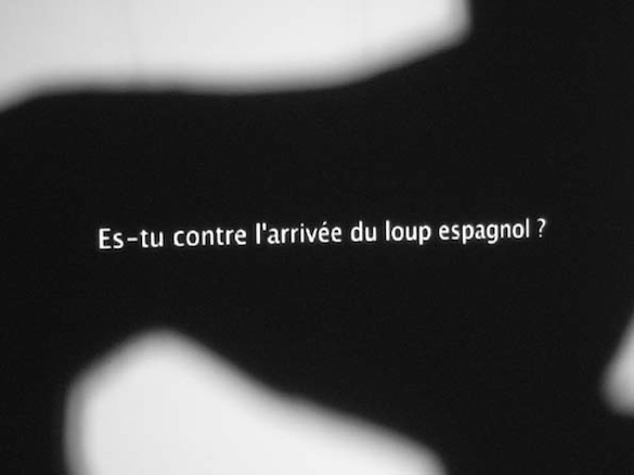 Image Importée
